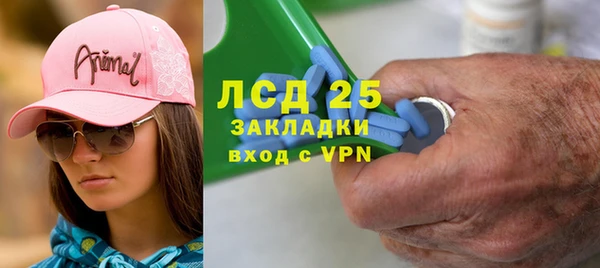 крисы Алзамай