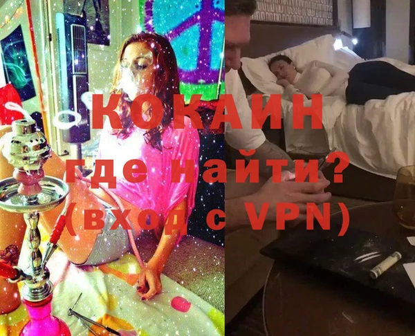крисы Алзамай