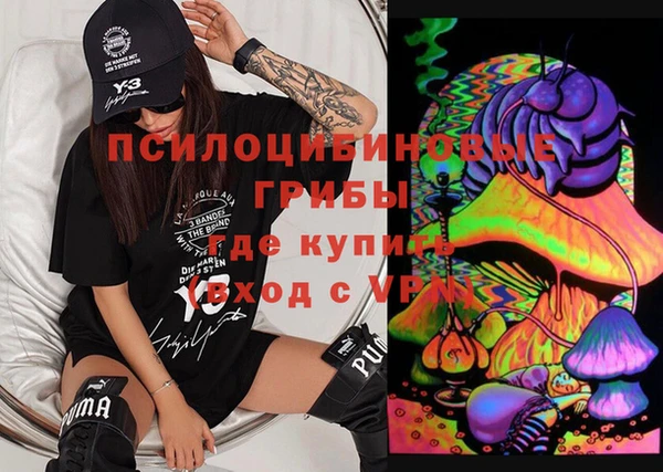 крисы Алзамай