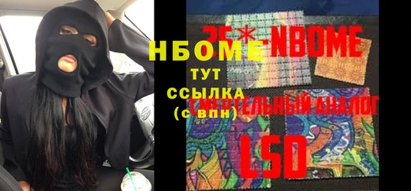 крисы Алзамай