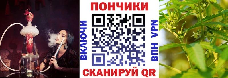 Шишки марихуана план  Данилов 